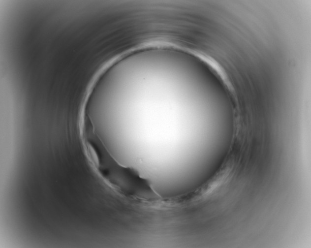 X0000096460815200802141531