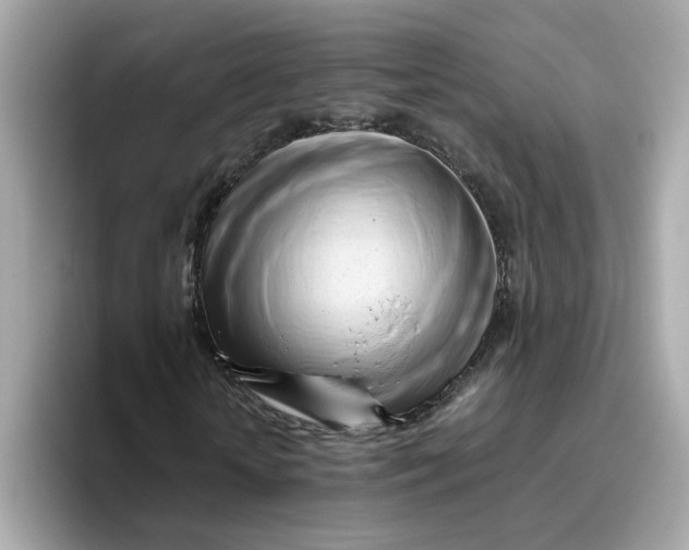 X0000096460818200802141530
