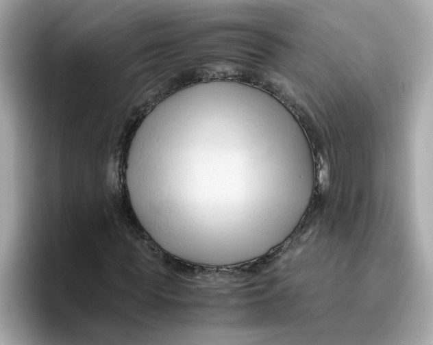X0000096460819200802141530