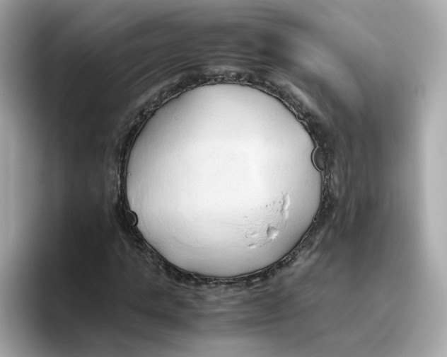 X0000096460821200802141530