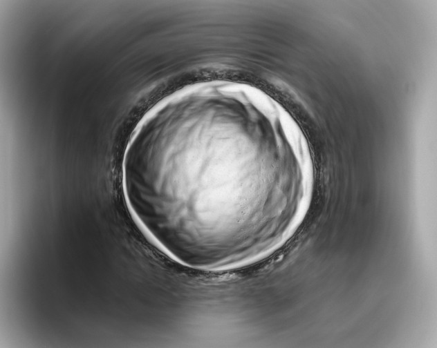 X0000096460822200802141530
