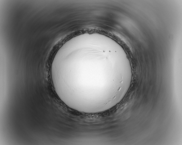 X0000096460823200802141530