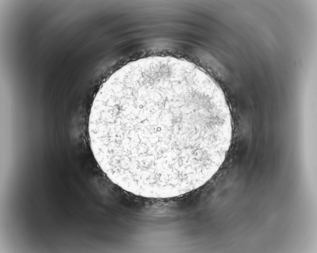 X0000096460824200802141530