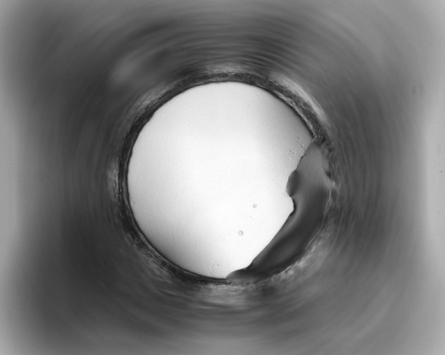X0000096460825200802141530