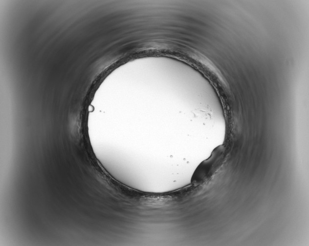 X0000096460826200802141530