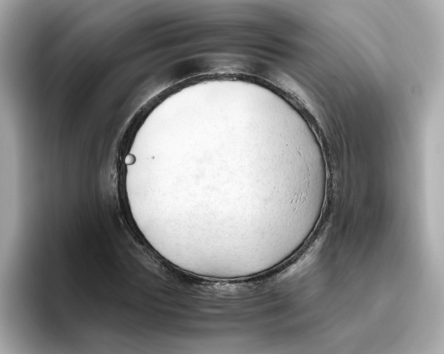 X0000096460827200802141530