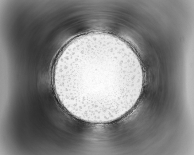 X0000096460828200802141530