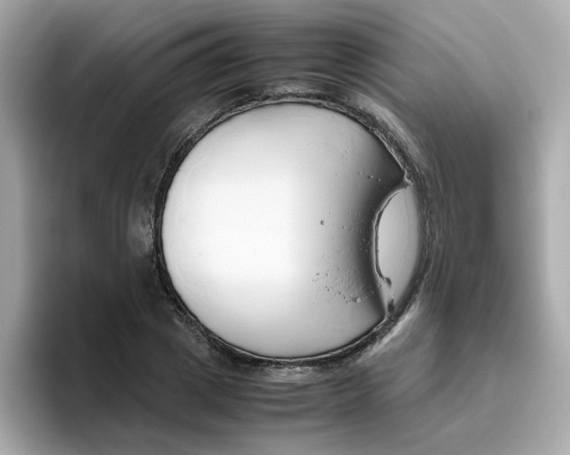X0000096460833200802141530