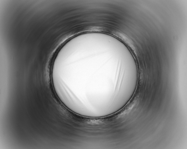 X0000096460835200802141530