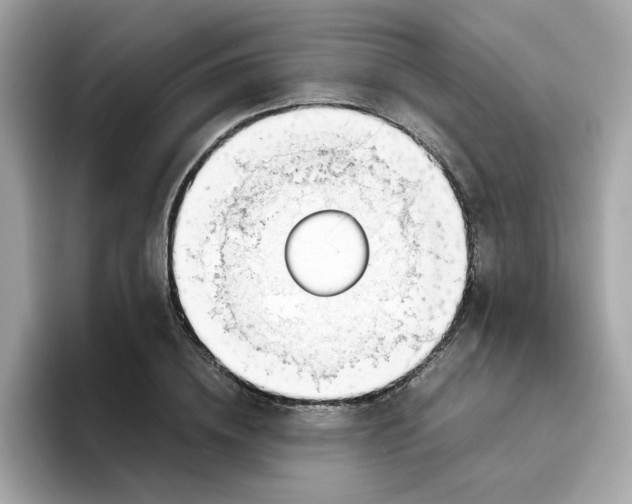 X0000096460836200802141530