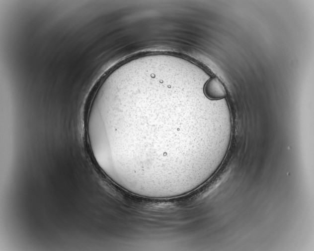 X0000096460837200802141530
