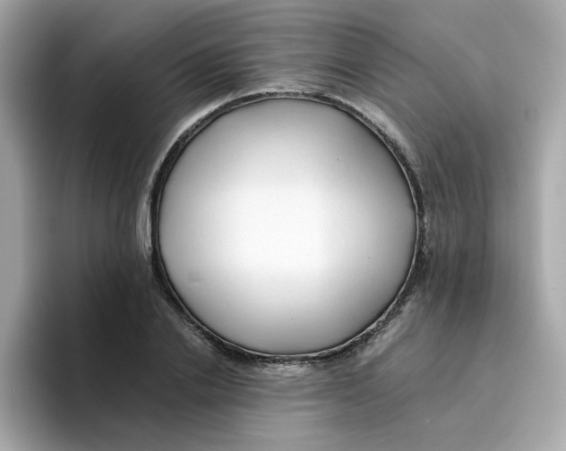 X0000096460838200802141530