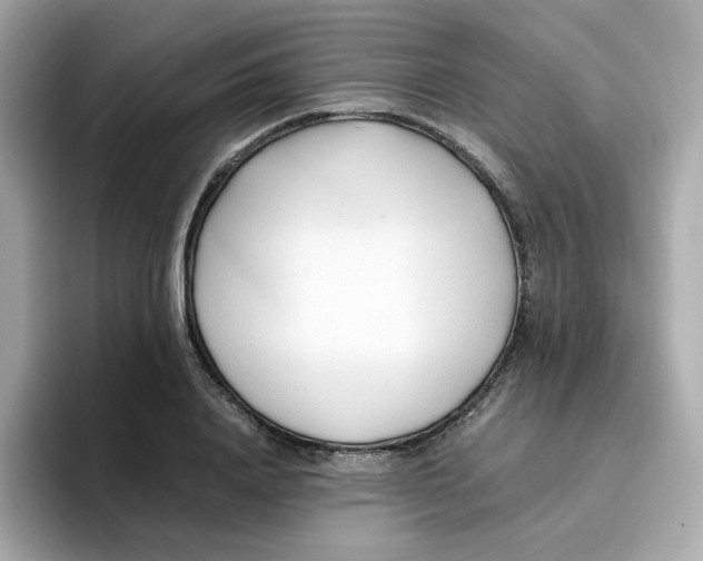 X0000096460840200802141530