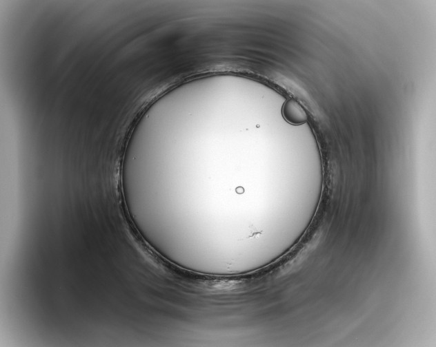X0000096460841200802141530