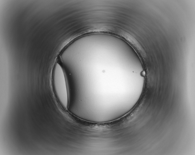 X0000096460842200802141530