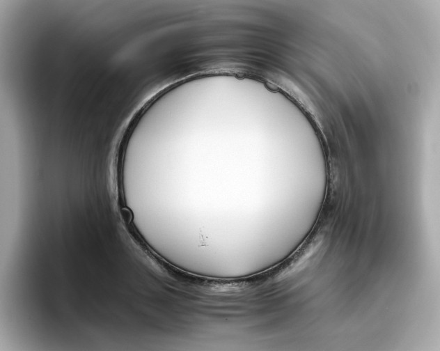 X0000096460843200802141530