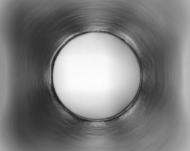 X0000096460844200802141530