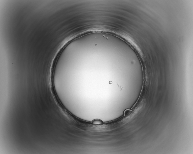 X0000096460845200802141530