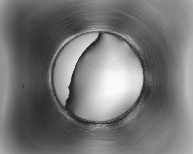X0000096460846200802141531