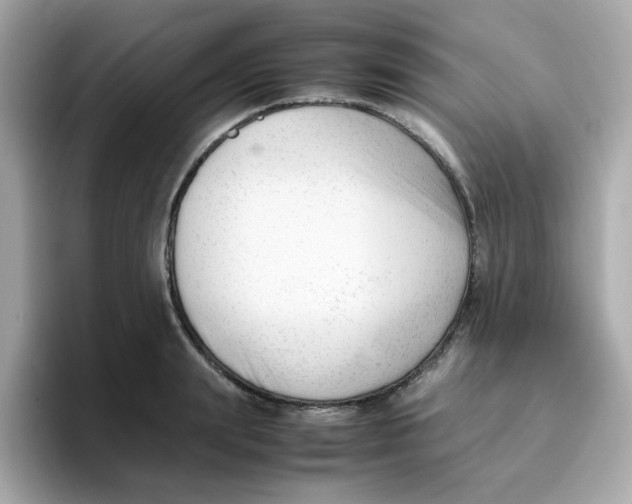 X0000096460847200802141531