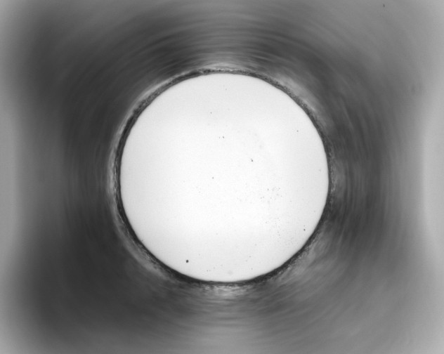 X0000096460848200802141531