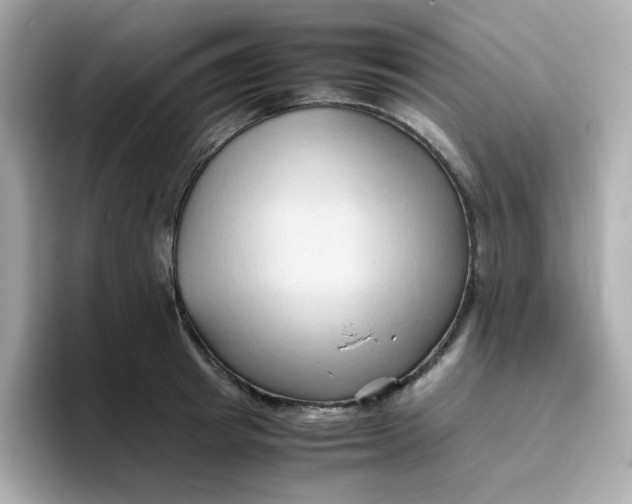 X0000096460849200802141531