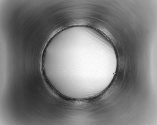 X0000096460850200802141531
