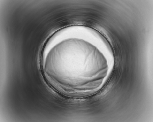 X0000096460851200802141531