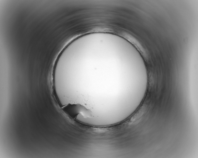 X0000096460852200802141531