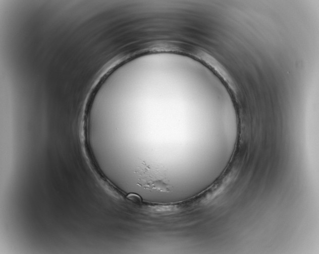 X0000096460853200802141531