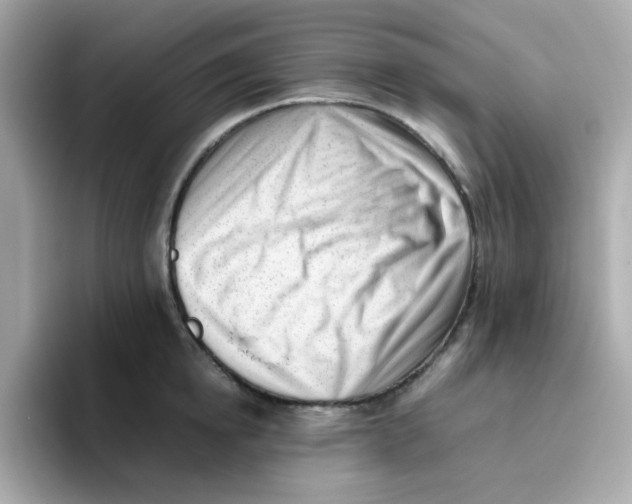 X0000096460854200802141531