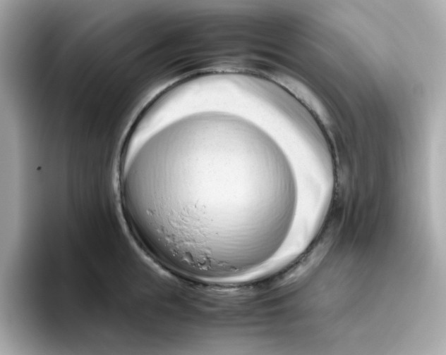 X0000096460855200802141531