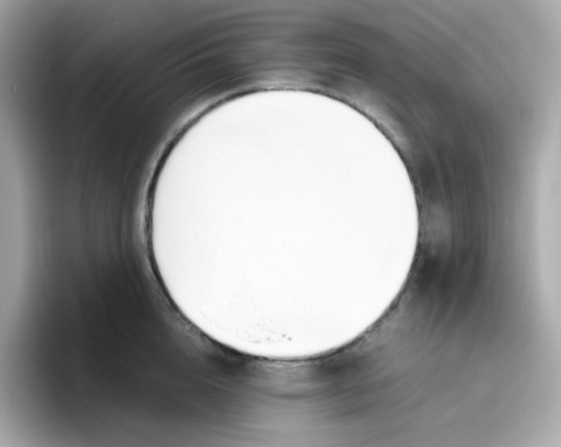 X0000096460856200802141531