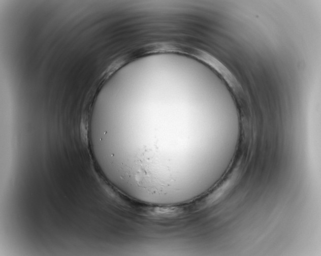 X0000096460857200802141531