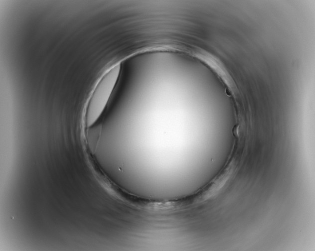 X0000096460858200802141531