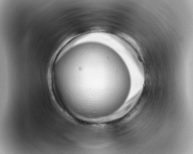 X0000096460859200802141531