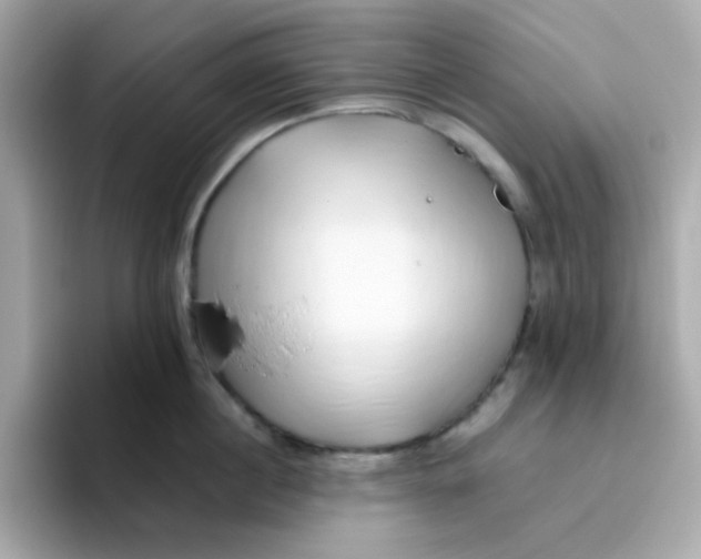 X0000096460860200802141531