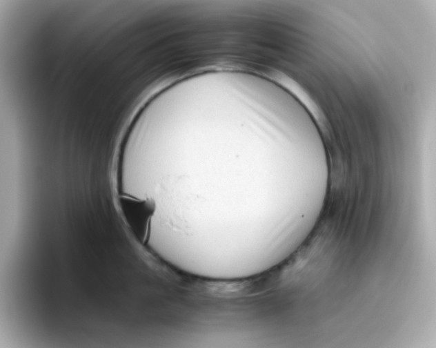X0000096460861200802141531