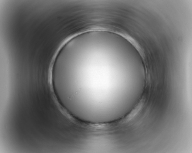 X0000096460862200802141531