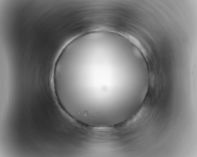 X0000096460863200802141531