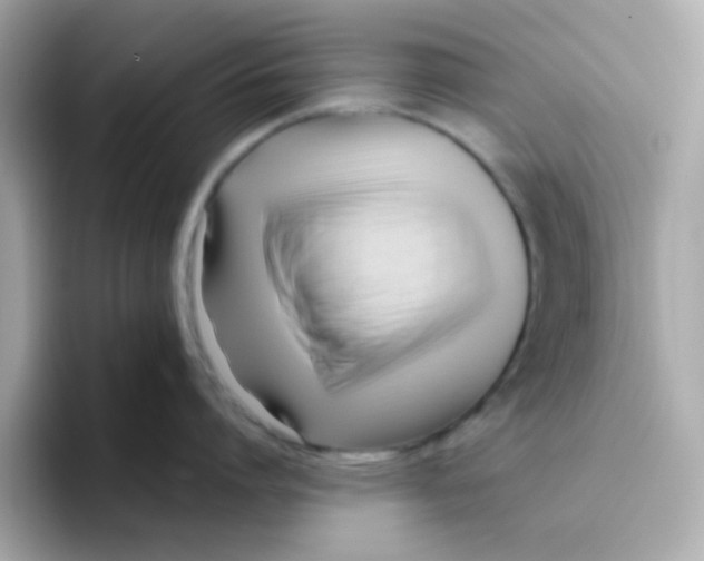 X0000096460864200802141531