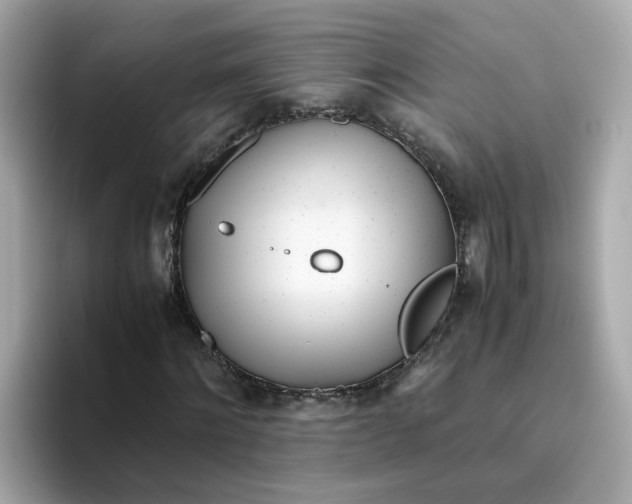 X0000096460868200802141530