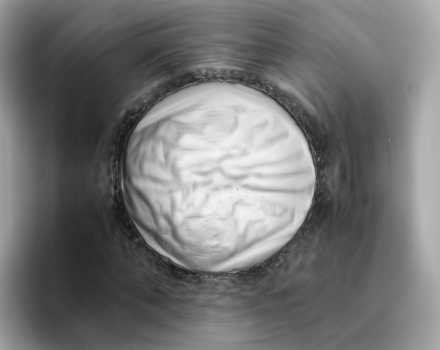 X0000096460870200802141530
