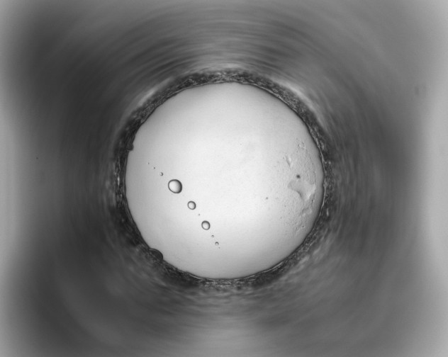 X0000096460871200802141530