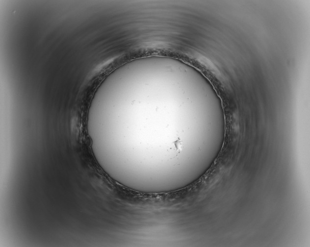 X0000096460872200802141530