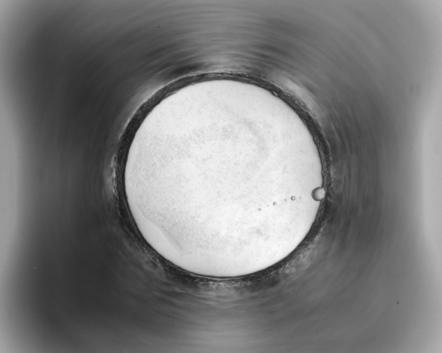 X0000096460875200802141530