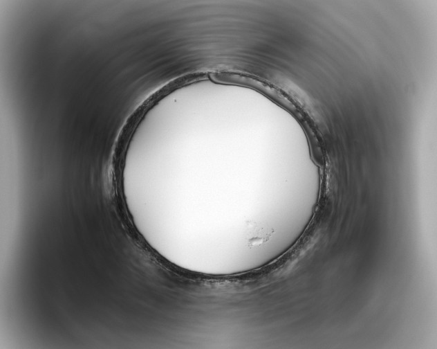 X0000096460876200802141530
