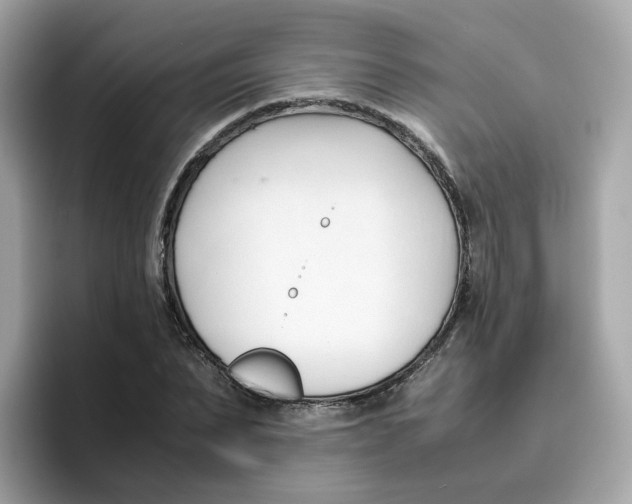 X0000096460879200802141530