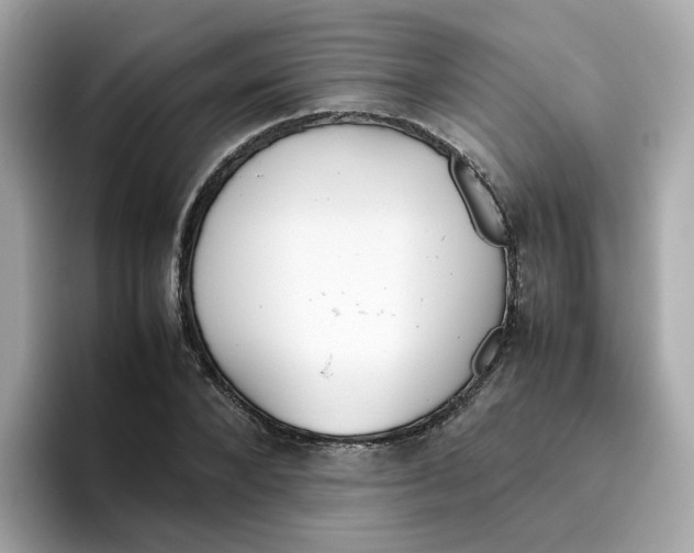 X0000096460880200802141530