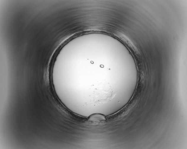 X0000096460884200802141530